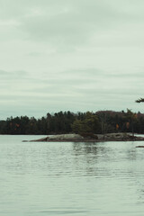 peaceful lake with trees all around the coast