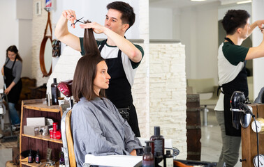 Portrait of male hairdresser and female client getting haircut at local hair studio