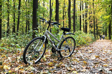 bicycle stand on footpath which is covered with colorful autumn leaves in beautiful forest. Outdoors activities concept.