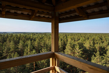 Forest view from a view tower with wooden elements on the foreground.