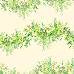 Watercolor seamless pattern with branches, berries. Mimosa,juniper, acacia on a branch. Decorative berry, flower.Abstract background.Wild grass, wild flower. For paper, textile.green grass