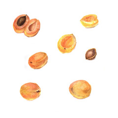 Set of apricot. Watercolor illustration.  It can be used for menus, recipes' and patterns. Autumn. Harvest