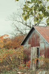 old shed falling apart with fall trees in the background