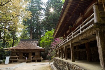 室生寺の金堂と弥勒堂