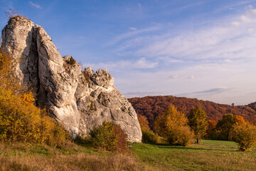 Autumn view of the forest with rocks