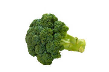 Fresh tasty broccoli isolated on white background.