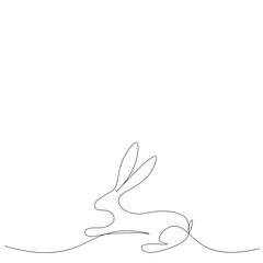 Easter bunny rabbit on a white background