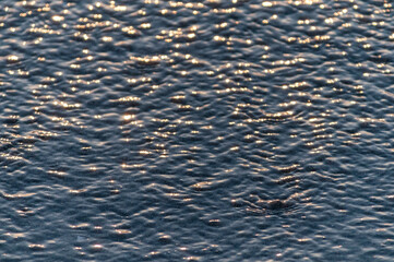 波打ち際のかすかな光