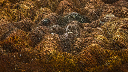 three-dimensional abstract wave background. 3d render illustration