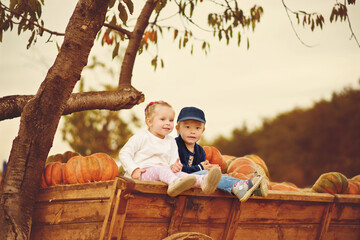 Fototapeta premium children in fall