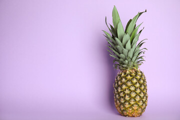 Fresh ripe juicy pineapple on lilac background. Space for text