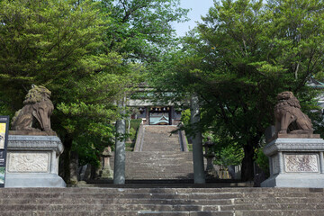 Fototapeta premium 諏訪神社参道の石鳥居