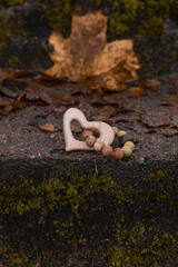 Wooden teether in the shape of a heart.