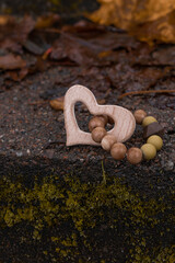 Wooden teether on a concrete step. Fallen leaves in the background.