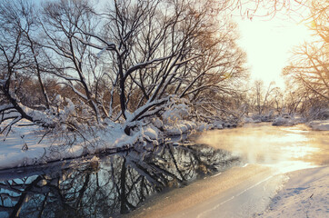 Frosty winter scene with  forest river on a sunny morning. Beautiful snow covered trees in the glow of rising sun. 