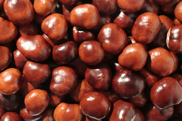 Pile of horse chestnuts as background, top view