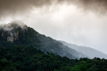 Misty mountain peak landscape forest in the morning