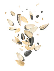 Sunflower seeds with hull flying on white background