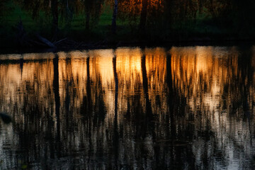 reflection of trees in the water in the sunbeams in the evening