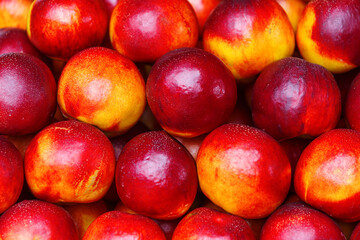 ripe nectarine fruit harvest background
