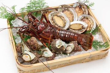 伊勢海老と魚貝類