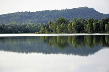 Fototapeta na wymiar reflection of trees in the lake