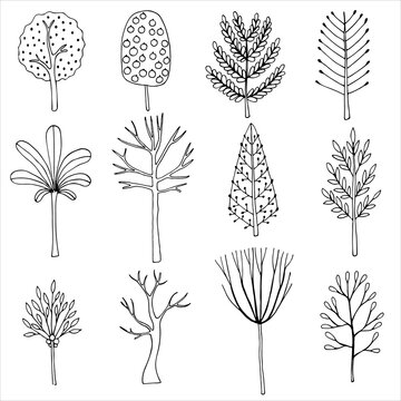 Set of hand drawn trees and fir trees