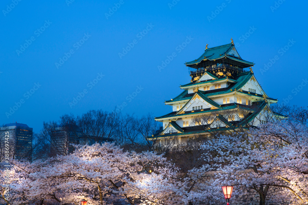 Canvas Prints 大阪城と夜桜