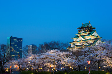 大阪城と夜桜