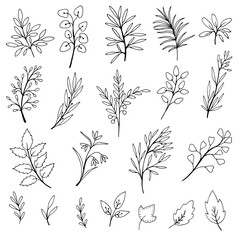 Set of simple doodles of flowers and branches