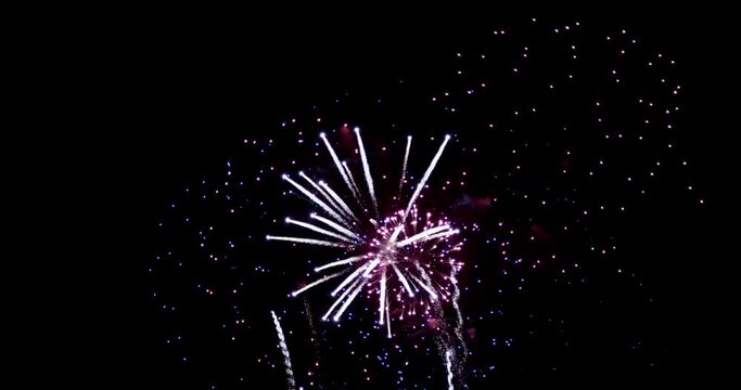 Fireworks Stock Footage In Black Background