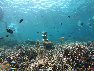 Naklejka na ściany i meble scuba diver and reef