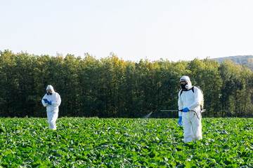 Fototapeta premium farmer spraying pesticide field mask harvest protective chemical
