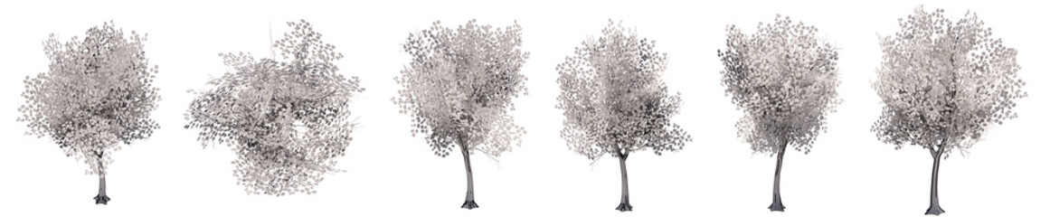 Set or collection of drawings of trees isolated on white background . Concept or conceptual 3d illustration for nature, ecology and conservation, strength and endurance, force and life