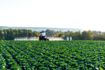 pesticide sprayer tractor field farmer vegetables cabbage harvest greens