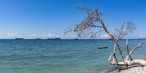 Summer panorama, sea view, swing on a fallen tree and cargo ships. Homemade sea swings on a wild beach entertain tourists. The outskirts of the resort of Gelendzhik. Russia, Black sea coast