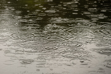 Nice autumn lake water surface with rain drops and splashes at  rainy day weather