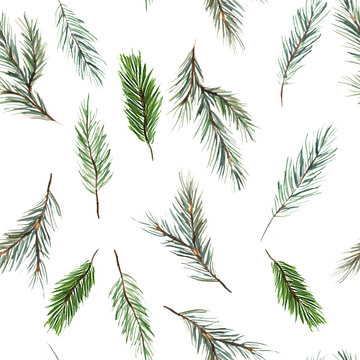 Watercolor illustration. Christmas winter seamless pattern from fir branches on nambel background. Pattern for background, fabric, paper, etc.