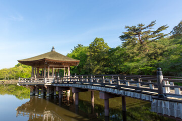 Fototapeta premium 奈良公園の浮見堂