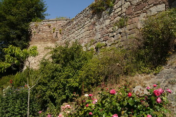 Schlossgarten mit Rosen Schloss Berlepsch in Hessen