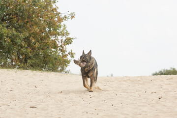 Speelgoed vangen tijdens het rennen