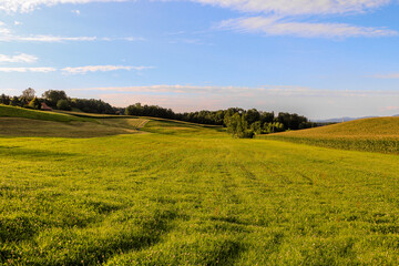 Beautiful swiss landscape - spring on the green field