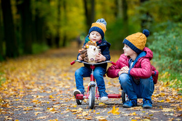 Cute toddler child, boy, playing in park  on sunny autumn day