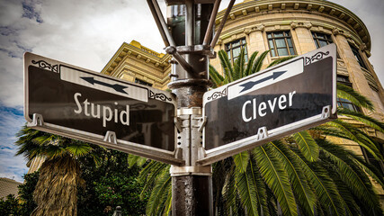 Street Sign Clever versus Stupid