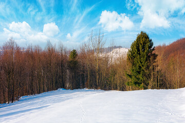 winter countryside on a sunny day. forest on snow covered hills. mountain ridge in the distance beneath a bright blue sky with clouds
