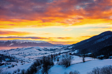 winter mountain landscape at sunrise. trees and fields on snow covered hills. ridge in the distance beneath a dramatic sky with clouds. beautiful carpathian countryside