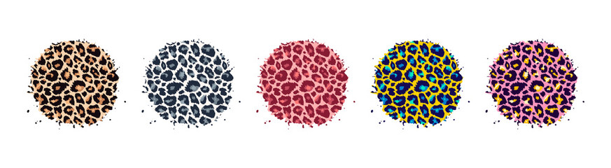 Leopard print textured hand drawn brush stroke circle shape set. Abstract paint spot with wild animal cheetah skin pattern texture. Vector design element for fashion print design, tag, backgrounds © Ketmut
