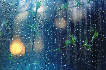 spring rain in the forest, fresh branches of a bud and young leaves with raindrops