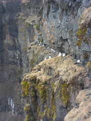 Hiking in the wild and dramatic landscape of Iceland's fjords, glaciers, mountains, volcanoes and waterfalls