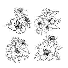 Hand drawn design elements sakura flowers collection.